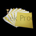 399 2 TROPHY COMBO PACK TRANSPARENT SHEET GOLD SILVER STICKER SHEET